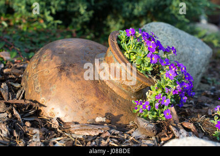 Kleine violette Blumen in Vintage Metall-Topf im Garten. Geringe Schärfentiefe. Stockfoto