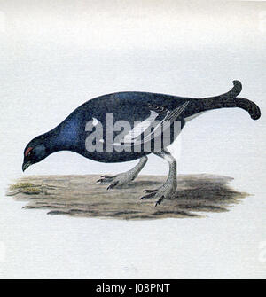 Diese Zeile enthält einen Namen oder Titel in nicht-lateinischer Schrift, die in kyrillischer Schrift oder einer anderen Schrift zu sein scheint. Sein Inhalt erfordert eine genaue sprachliche Übersetzung oder Identifikation zur weiteren Analyse. Stockfoto