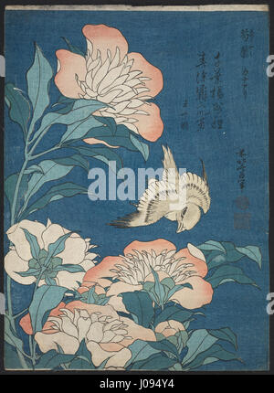 Katsushika Hokusai, herausgegeben von Nishimuraya Yohachi (Eijudō) - Pfingstrosen und Kanarienvogel (Shakuyaku, Kanaari), von einem unbenannten Serie bekannt als Kleinblumen- Stockfoto