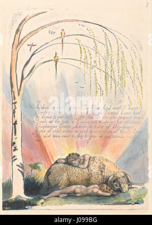 Amerika. A Prophecy, Plate 9, aus William Blakes Serie, fängt den mystischen und prophetischen Ton ein, der seine visionären Werke charakterisiert. Die Gravur reflektiert Themen der Revolution, Freiheit und spirituellen Erweckung, die für Blakes umfassendere Erforschung menschlicher Erfahrung und göttlicher Offenbarung von zentraler Bedeutung sind. Stockfoto