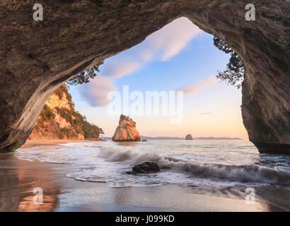 Cathedral Cove, in der Nähe von Whitianga auf der Coromandel Halbinsel, Nordinsel, Neuseeland. Dies ist eine wichtige touristische Attraktion der Gegend und liegt Stockfoto