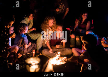 Kinder Rösten Marshmallows auf Stöcke um ein Feuer beim camping entfernt Stockfoto