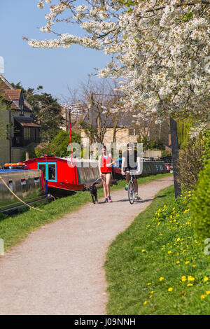 Junger Mann Reiten Fahrrad mit junge Frau zu Fuß Hund Weg von Kennet & Avon Canal bei Bradford on Avon, Wiltshire im April Stockfoto