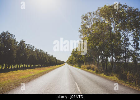 Leerer Straße, gesäumt von Bäumen in Nord-Queensland, Australien an einem heißen Sommertag. Stockfoto