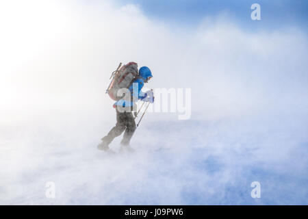 Skitouren in einem Schneesturm in Arktis Norwegen Troms Grenze unterwegs Stockfoto