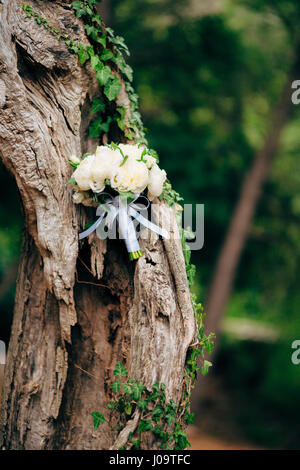 Hochzeit-Rosen und Pfingstrosen auf Olivenbaum Rinde. Hochzeit in Montene  Stockfotografie - Alamy