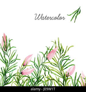 Große Reihe von Aquarell botanische Elemente. Schönen botanischen Elemente isoliert auf weißem Hintergrund. Handgezeichnete Kräuter und Blumen für Ihr Design. Stockfoto