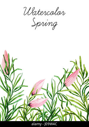 Große Reihe von Aquarell botanische Elemente. Schönen botanischen Elemente isoliert auf weißem Hintergrund. Handgezeichnete Kräuter und Blumen für Ihr Design. Stockfoto