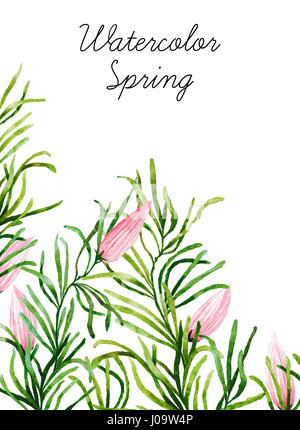 Große Reihe von Aquarell botanische Elemente. Schönen botanischen Elemente isoliert auf weißem Hintergrund. Handgezeichnete Kräuter und Blumen für Ihr Design. Stockfoto