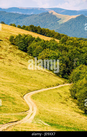 gewundenen Weg durch die großen Wiesen am Hang führt in den Wald. Ridge Berglandschaft im Sommer Stockfoto