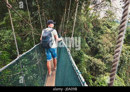 Touristen auf den erhöhten Laufsteg durch die Baumkronen im Regenwald - Borneo, Malaysia Stockfoto