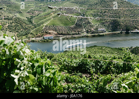 Douro Fluss Landschaft in der Region Beira grande, Portugal. Stockfoto