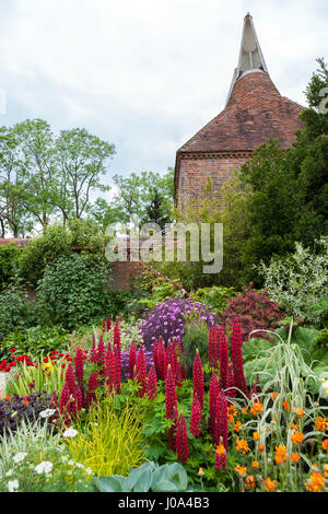 Pflanzen im Garten Wand am Great Dixter, Northiam, East Sussex, England, UK, mit dem Oast House über Stockfoto