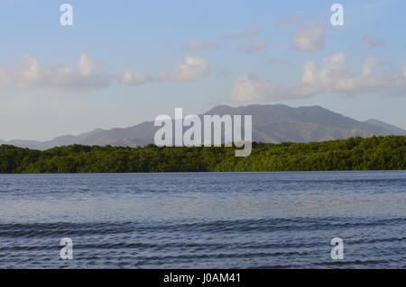 Bilder, die während der Tour von Caroni Bird Sanctuary, Trinidad und Tobago Stockfoto