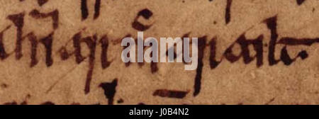 „Ömar mac Arailt“ ist ein historisches Manuskript aus der Oxford Bodleian Library, das Details über das Leben des irischen Herrschers Ömar mac Arailt aus dem 9. Jahrhundert enthält. Dieses Folio ist Teil einer Sammlung von Texten, die mittelalterliche irische Geschichte und königliche Genealogie bewahren. Stockfoto