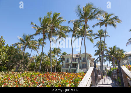 Naples, Fl, USA - 18. März 2017: Luxus Villa am Strand umringt von Kokospalmen in Neapel. Florida, United States Stockfoto