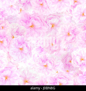 NAHTLOSE Muster von Sakura Blüten. Floral print Hintergrund Stockfoto