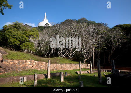 Mihintale Norden zentralen Proviince SriLanka Stockfoto