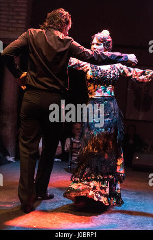 Eine abendliche Flamenco-Vorstellung im Museo del Baile Flamenco in der Altstadt von Sevilla, Spanien. Das Museo del Baile Flamenco bietet seinen Besuchern die Möglichkeit Stockfoto