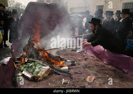 Ultra orthodoxe jüdische Männer, Belz Chassidim, versammeln, um Chametz, Brot und Lebensmittel nicht koscher für Pessach, morgens am Vorabend des Feiertages zu brennen. Stockfoto