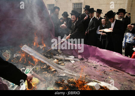 Ultra orthodoxe jüdische Männer, Belz Chassidim, versammeln, um Chametz, Brot und Lebensmittel nicht koscher für Pessach, morgens am Vorabend des Feiertages zu brennen. Stockfoto