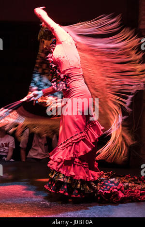 Eine abendliche Flamenco-Vorstellung im Museo del Baile Flamenco in der Altstadt von Sevilla, Spanien. Das Museo del Baile Flamenco bietet seinen Besuchern die Möglichkeit Stockfoto