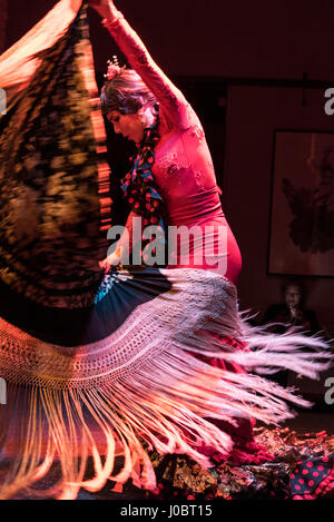 Eine abendliche Flamenco-Vorstellung im Museo del Baile Flamenco in der Altstadt von Sevilla, Spanien. Das Museo del Baile Flamenco bietet seinen Besuchern die Möglichkeit Stockfoto