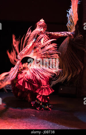 Eine abendliche Flamenco-Vorstellung im Museo del Baile Flamenco in der Altstadt von Sevilla, Spanien. Das Museo del Baile Flamenco bietet seinen Besuchern die Möglichkeit Stockfoto