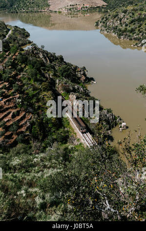 Douro Bahnstrecke im Douro-Tal. Portugal Stockfoto