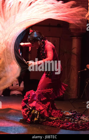 Eine abendliche Flamenco-Vorstellung im Museo del Baile Flamenco in der Altstadt von Sevilla, Spanien. Das Museo del Baile Flamenco bietet seinen Besuchern die Möglichkeit Stockfoto