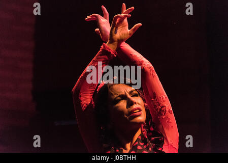 Eine abendliche Flamenco-Vorstellung im Museo del Baile Flamenco in der Altstadt von Sevilla, Spanien. Das Museo del Baile Flamenco bietet seinen Besuchern die Möglichkeit Stockfoto