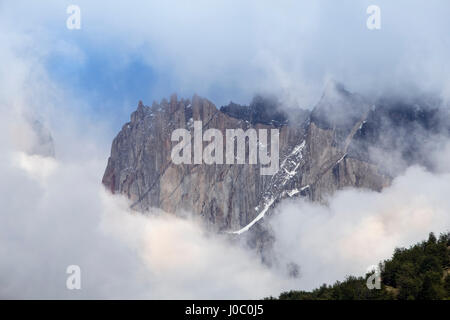 Wald und den schroffen Bergen im Torres del Paine Nationalpark, Patagonien, Chile Stockfoto