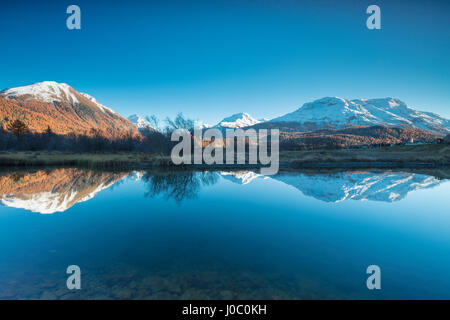 Die schneebedeckten Gipfel und bunte Wälder spiegelt sich im See Champfèr, St. Moritz, Kanton Graubünden, Engadin, Schweiz Stockfoto