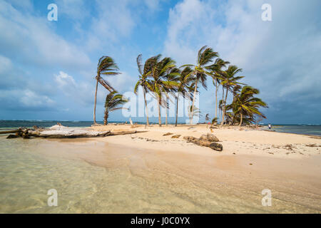 Schöne kleine Insel, Achutupu, San Blas Inseln, Kuna Yala, Panama, Mittelamerika Stockfoto