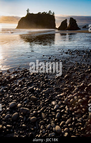 Abendlicht am Ruby Beach im Olympic National Park, UNESCO, Pacific Northwest Coast, Washington State, USA Stockfoto