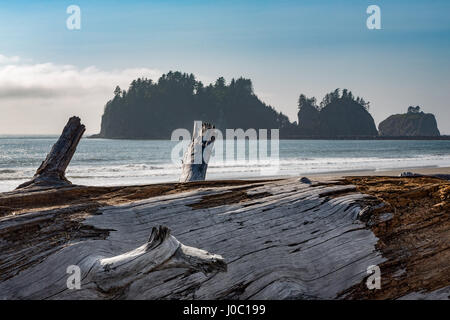 James Island mit Treibholz am Strand von La Push auf der pazifischen Nordwestküste, Washington State, USA Stockfoto