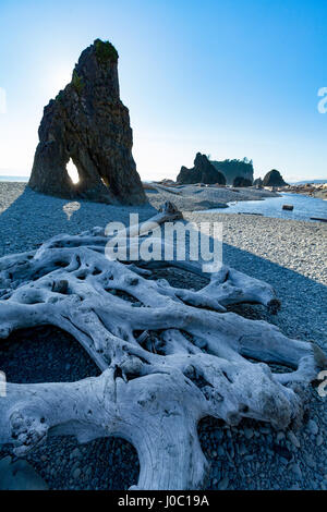 Treibholz und Meer-Stacks auf Ruby Beach im Olympic National Park, UNESCO, Pacific Northwest Coast, Washington State, USA Stockfoto