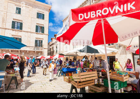 Freiverkehr in Gundulic Platz, Altstadt von Dubrovnik, Dubrovnik, Dalmatien, Kroatien Stockfoto