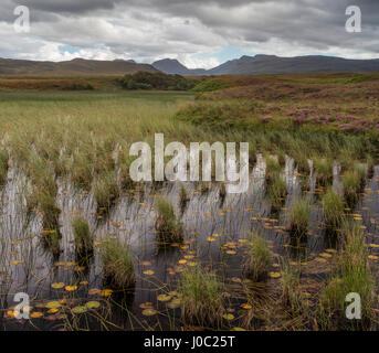 Ein Blick auf die Berge von Coigach über Loch Garvie, Ross und Cromarty, Highlands, Schottland, UK Stockfoto
