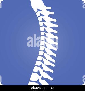 2D Vektor spinale Spalte Muskel-Skelett-Bild w / abgerundetes Rechteck auf weißem Grund Stock Vektor