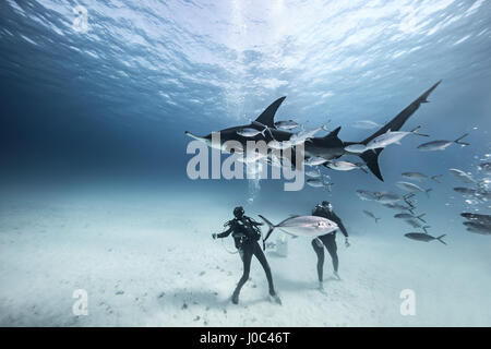 Unterwasser-Blick von zwei Tauchern am Meeresboden unter Fisch Stockfoto