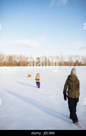 Kinder und Hunde spielen im tief verschneiten Feld, Lakefield, Ontario, Kanada Stockfoto