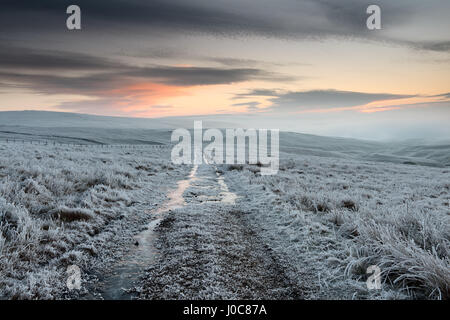 Hoar Milchglas Nord Pennine Moors und Einfrieren Nebel, Spitley Zunge, Harwood, Teesdale, County Durham UK. Stockfoto