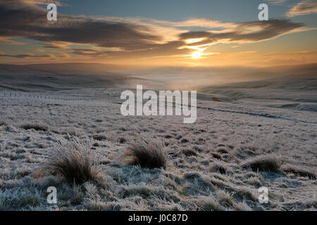 Hoar Milchglas Nord Pennine Moors und Einfrieren Nebel, Spitley Zunge, Harwood, Teesdale, County Durham UK. Stockfoto