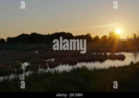 Sonnenaufgang über Sumpf in der Nähe von Saginaw Bucht Michigan Stockfoto