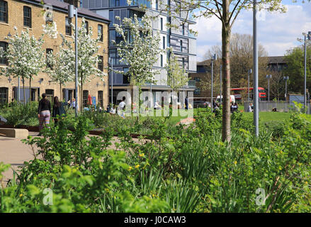 Feder am Wharf Road Gärten in der Nähe von kornhaus Square, Kings Cross, NC1, London, UK Stockfoto
