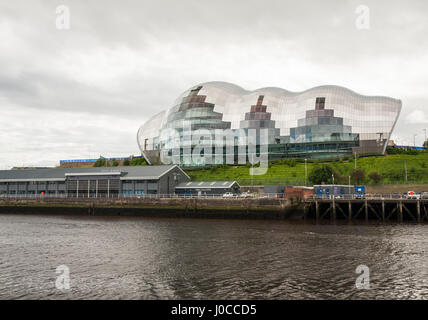 Salbei, Gateshead, England, UK Stockfoto
