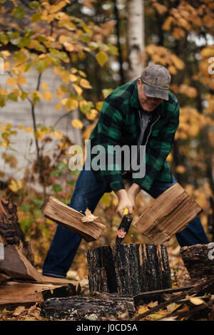 Reifer Mann teilen Protokolle im herbstlichen Wald, Upstate New York, USA Stockfoto