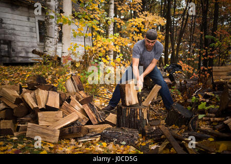 Mitte erwachsenen Mannes teilen Protokolle im herbstlichen Wald, Upstate New York, USA Stockfoto