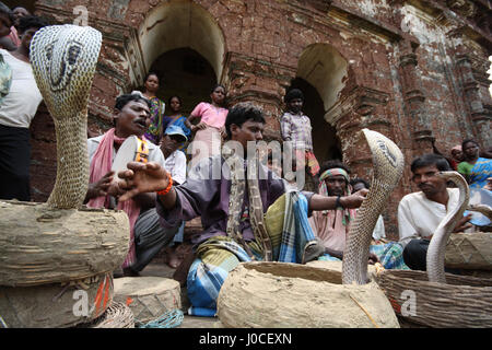 Snake Charmer, Bishnupur, Westbengalen, Indien, Asien Stockfoto